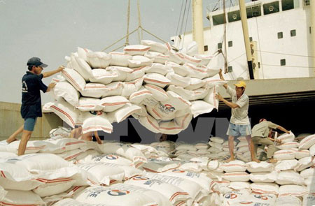 Bốc xếp gạo xuất khẩu tại cảng Sài Gòn.